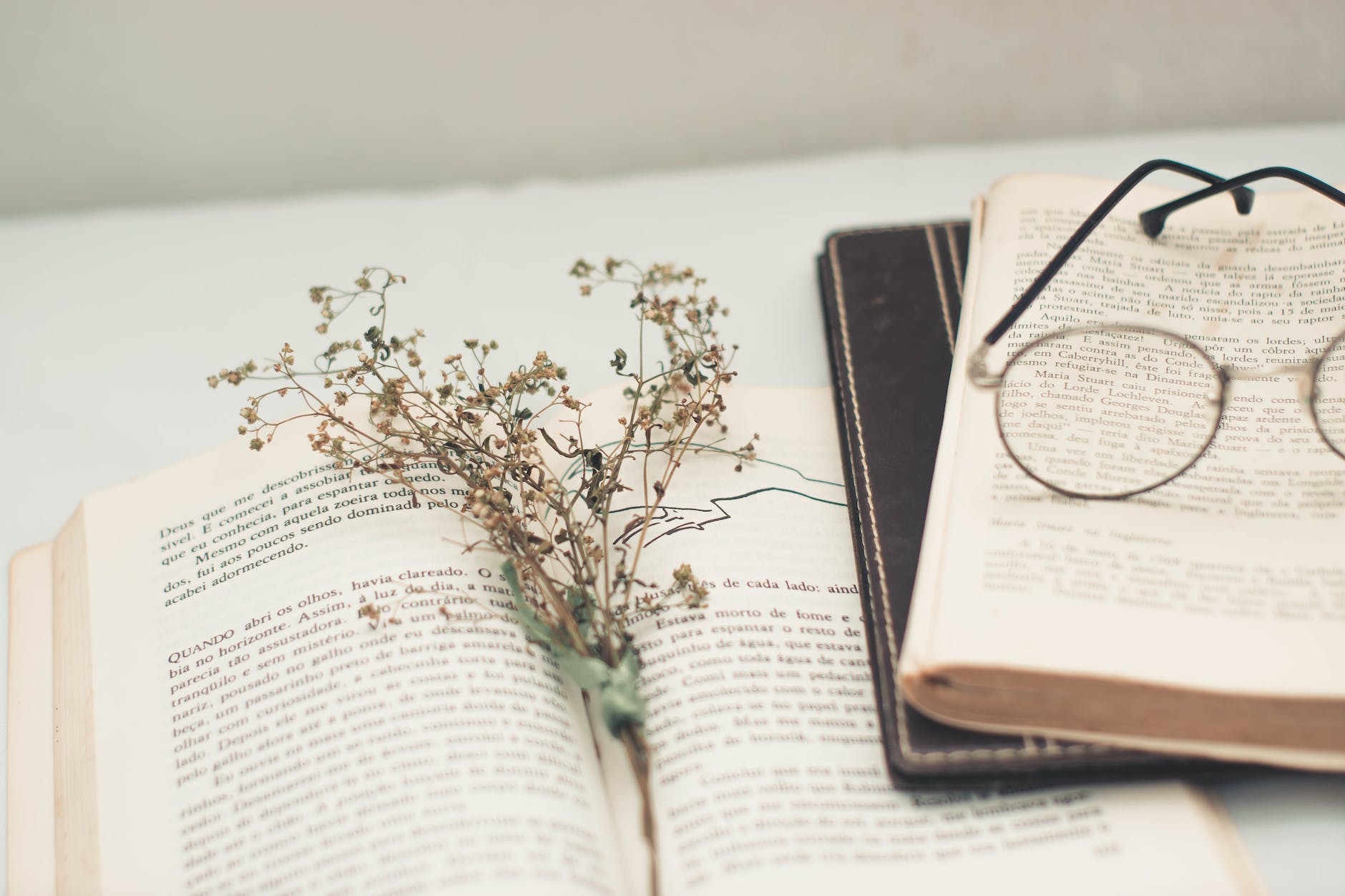 Calibre: An Exhaustive Review for Self-Publishing Authors
